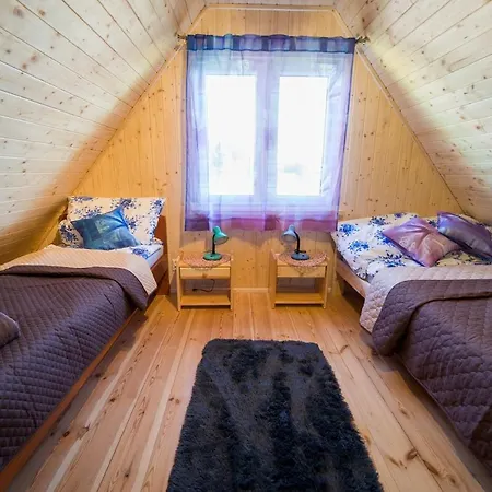 Dreamland Skorupki *