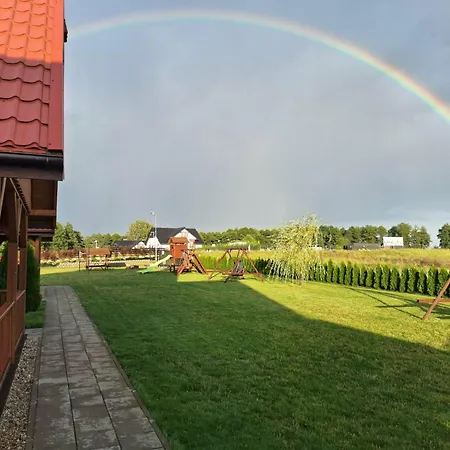 Dreamland Skorupki